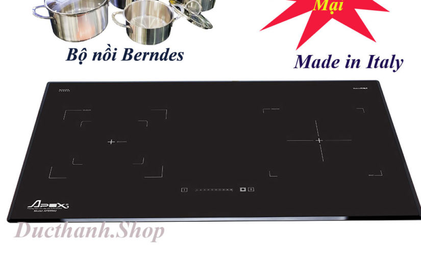 Bếp từ Sunhouse APB9981