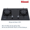 Bếp gas âm Rinnai 212BG