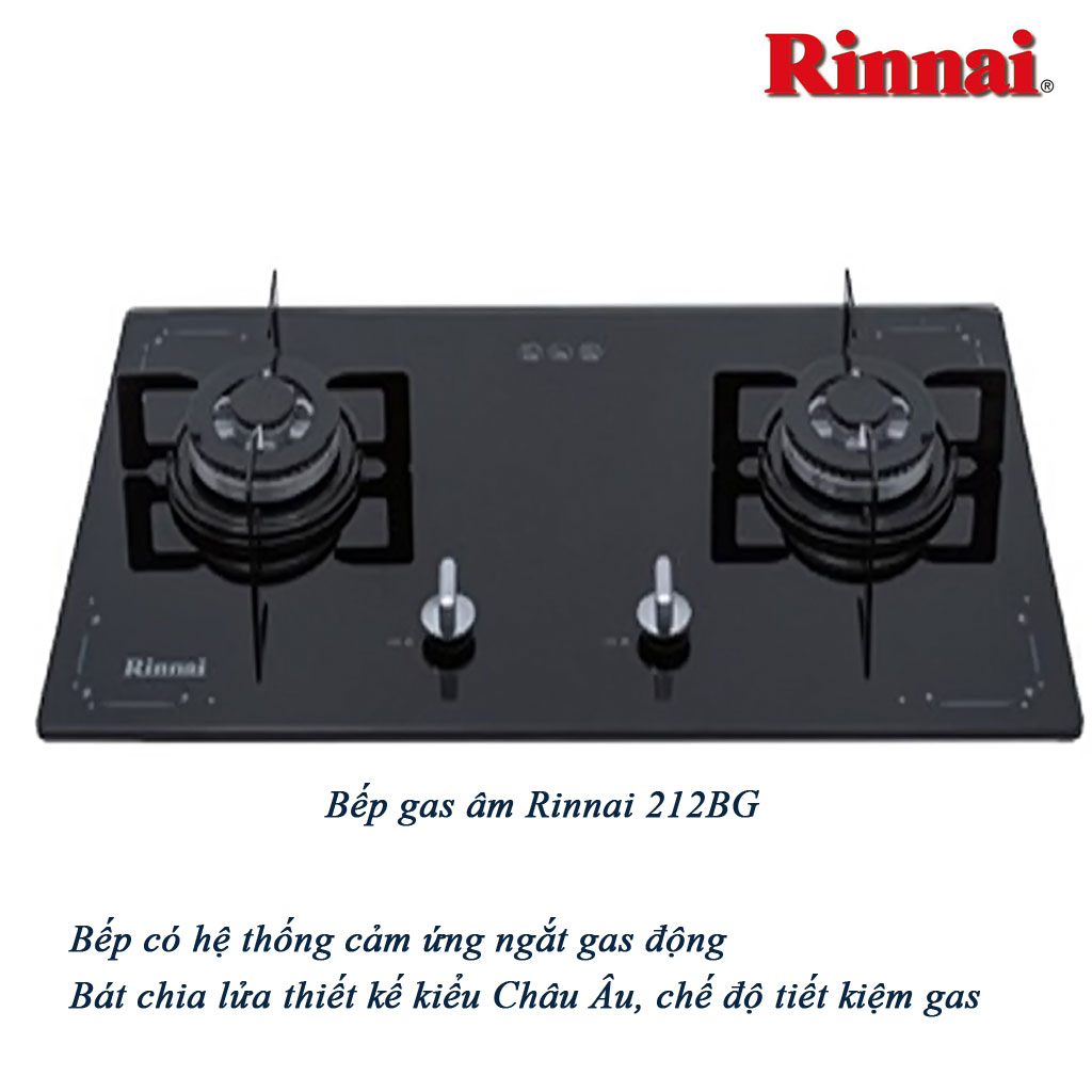 212bg Bếp gas âm Rinnai 212BG - Ảnh 1