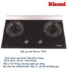 Bếp gas âm Rinnai 2GI(B)