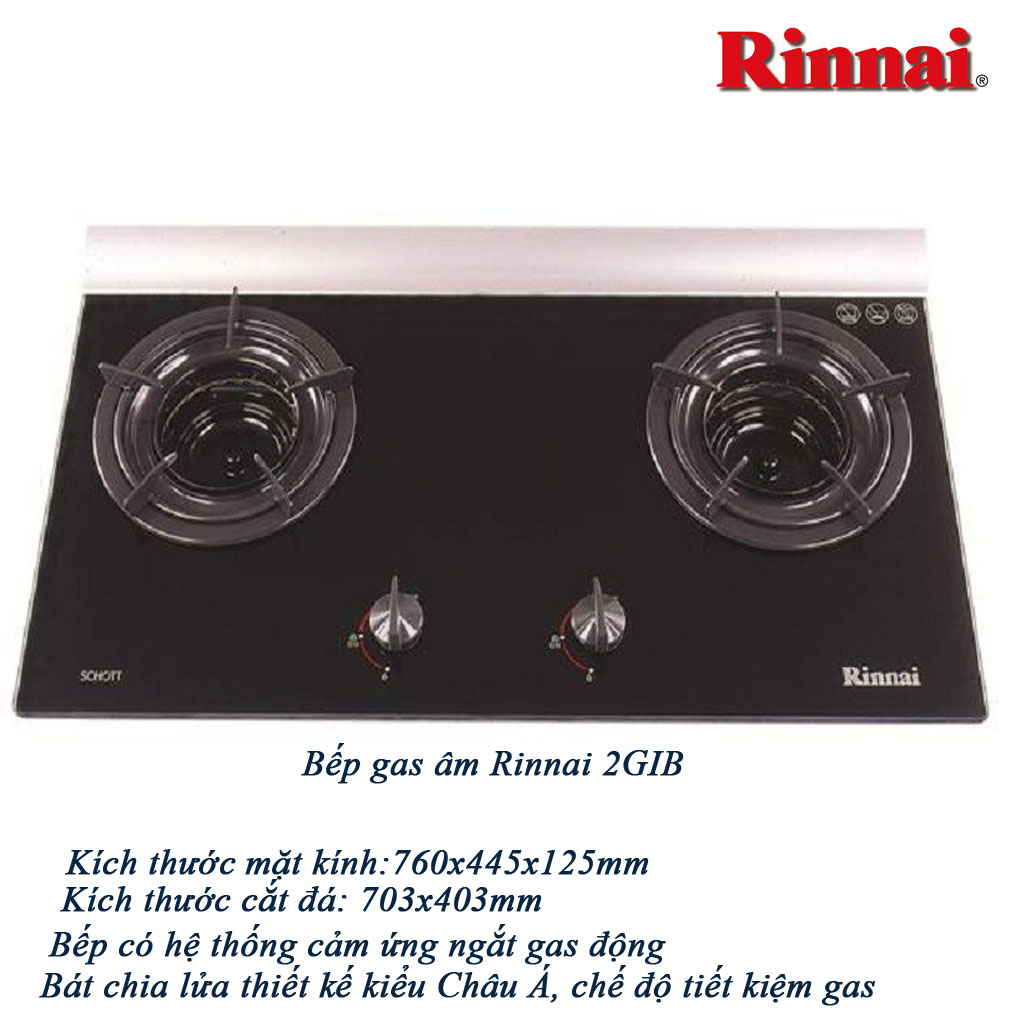 2gi(b) Bếp gas âm Rinnai 2GI(B) - Ảnh 1