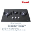 Bếp gas âm Rinnai 312BG