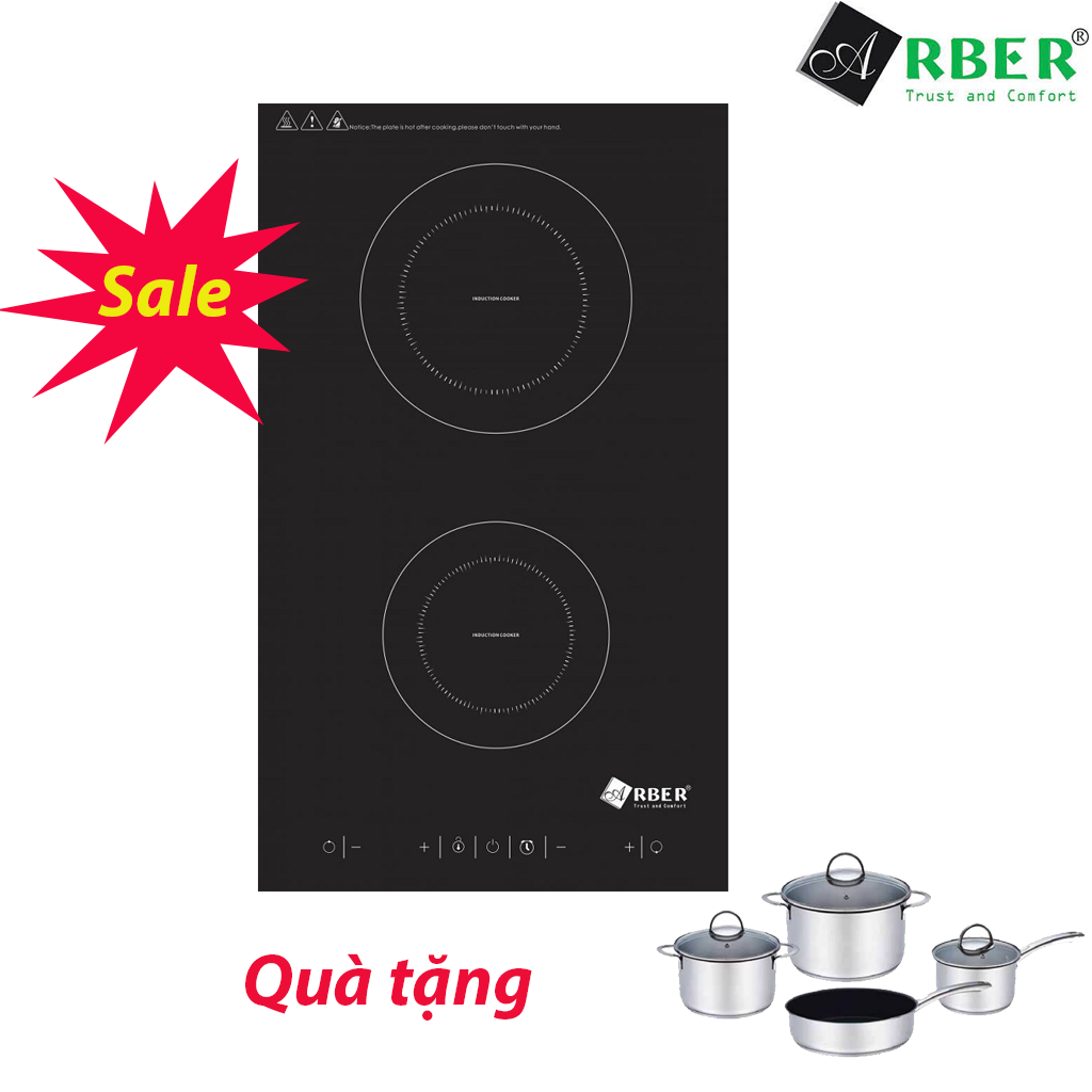 AB001 Bếp từ Domino Arber AB001 - Ảnh 1