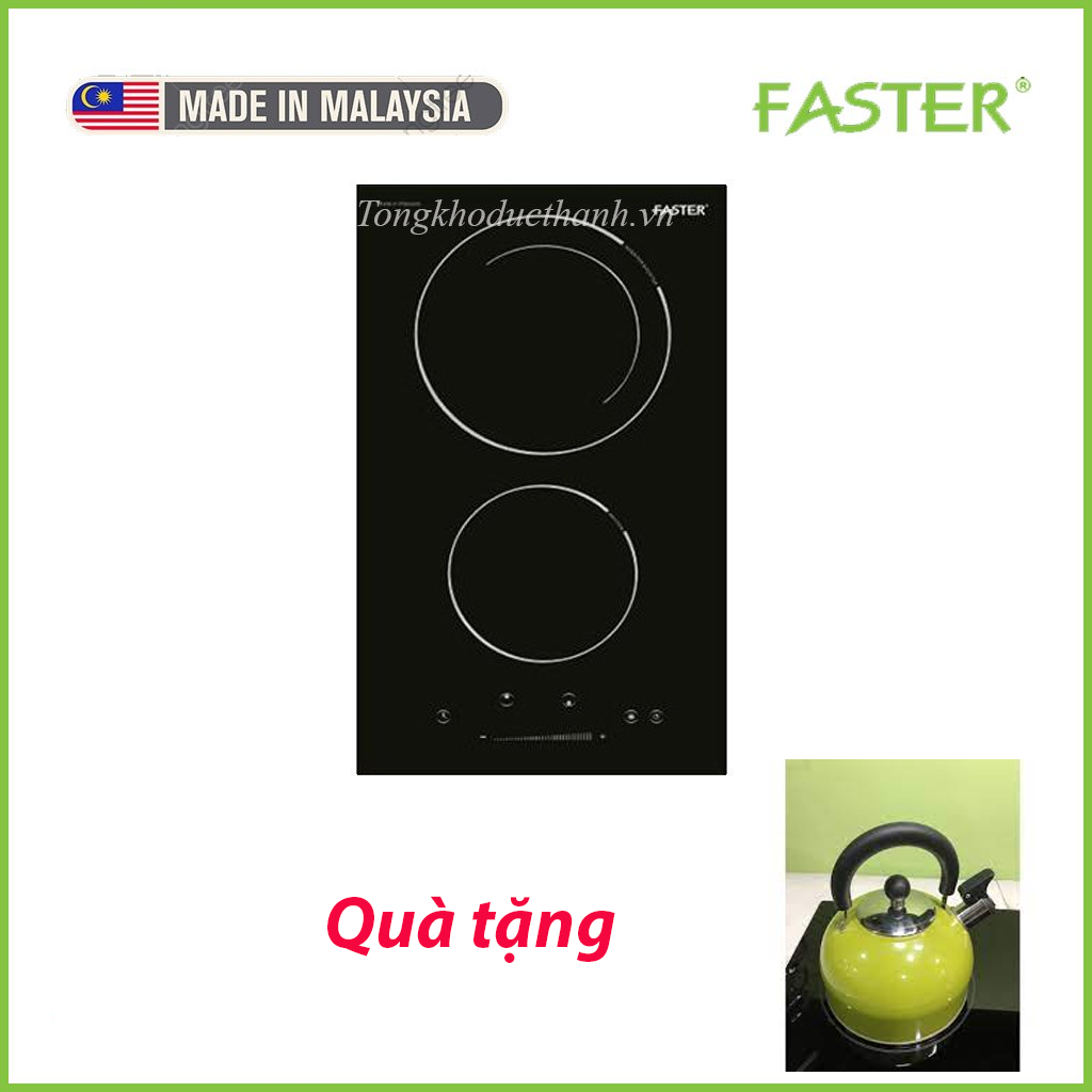 Bếp-faster-domino Bếp từ Faster FS-223DI - Ảnh 1