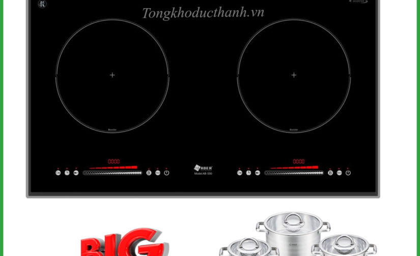 Bếp từ Arber AB550