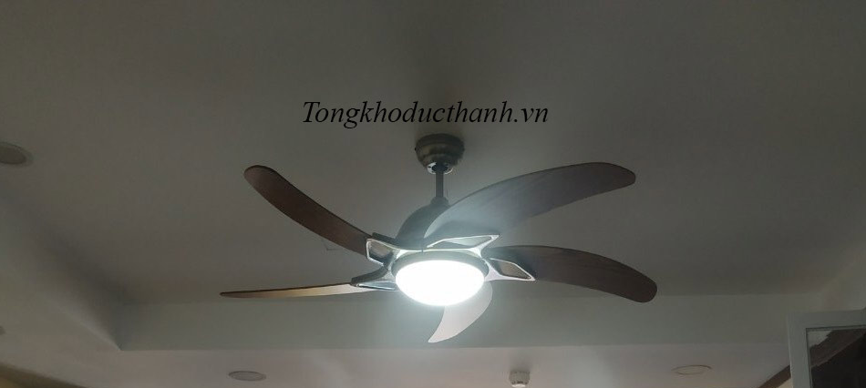 Quạt-trần-KaiyoKukan-YAMA-4054