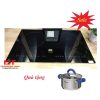 Bếp từ Faster FS 389i - Giá Sale