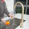 Vòi rửa bát Knox dây rút Venice Gold - Ảnh 2