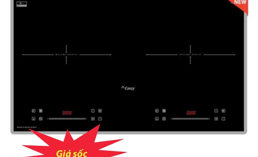 Bếp từ Canzy CZ PID369Serial 8.0
