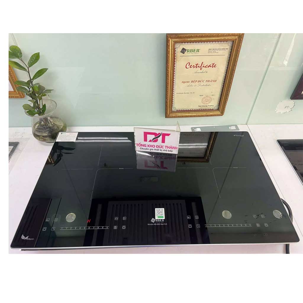 995 Bếp từ đôi Arber AB995 Seri 9.0 - Ảnh 1