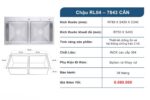 Chậu RL04 – 7843 CÂN - Ảnh 3