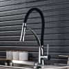 Vòi RL - 909 BLACK - Ảnh 2