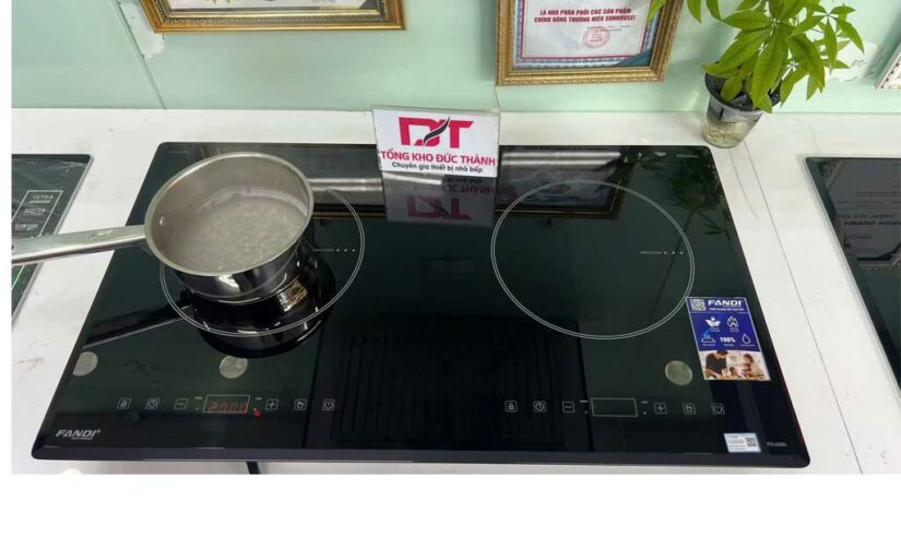 Bếp từ Fandi FD 228G