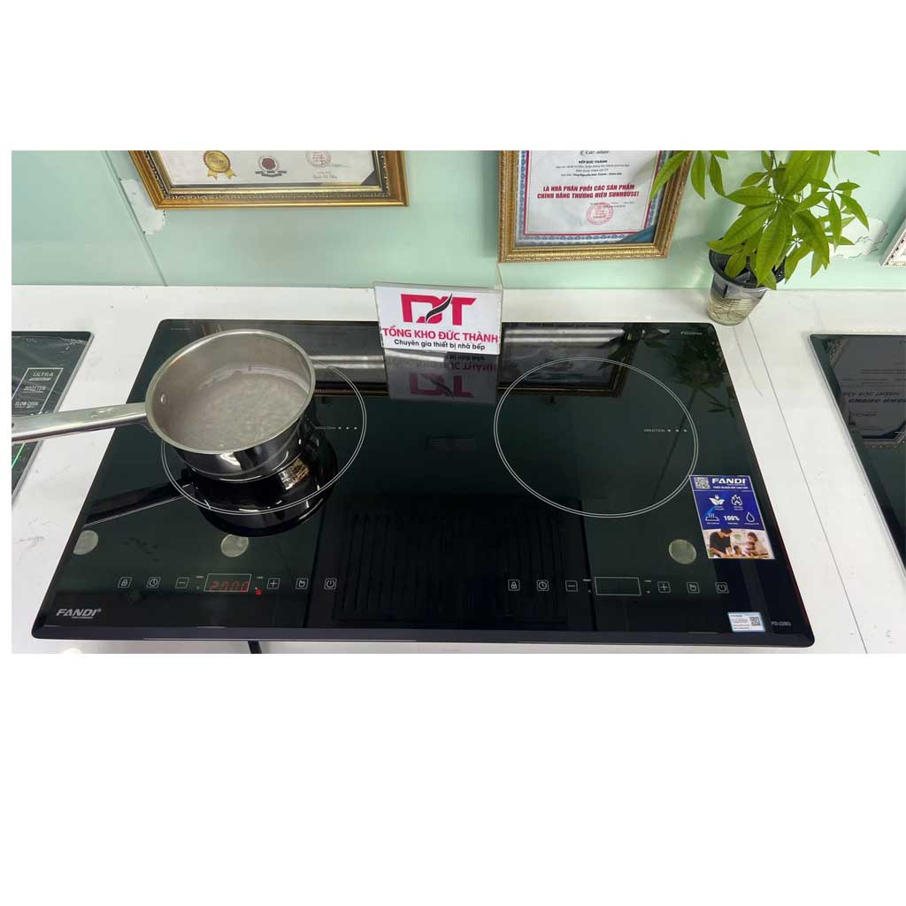 228g Bếp từ Fandi FD 228G - Ảnh 1