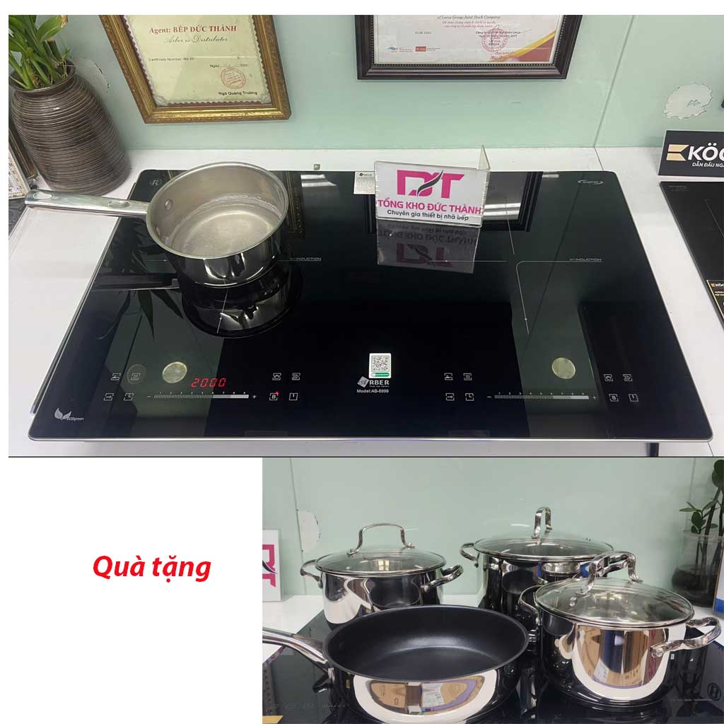 8999 Bếp từ Arber AB-8999